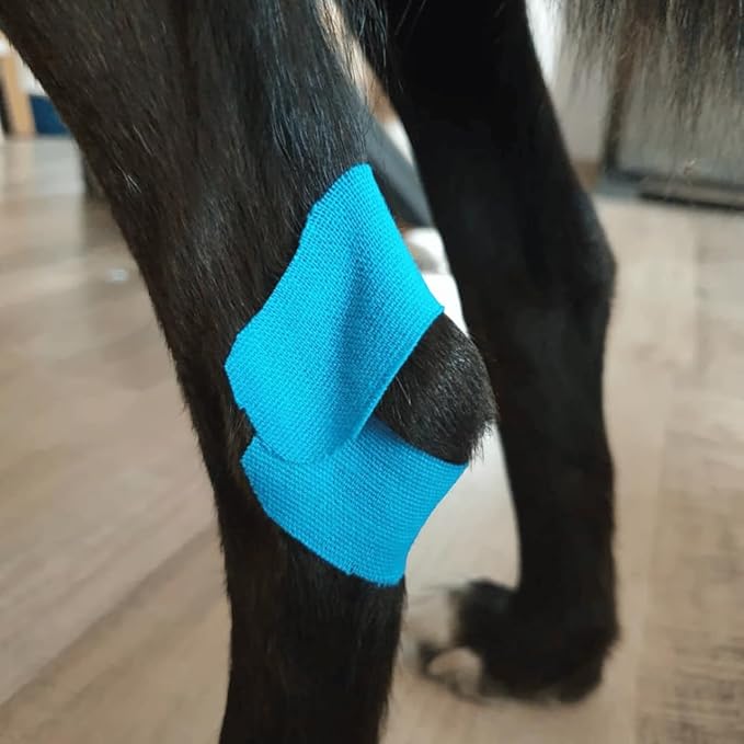 VETKIN VetkinTape Canine & Equine Kinesiology Tape | Veterinary Medical Tape | Vet Wrap for Joint Support & Pet Care | Self Adhesive Bandage Wrap | Blue | 2.4in | (Pack of 1)