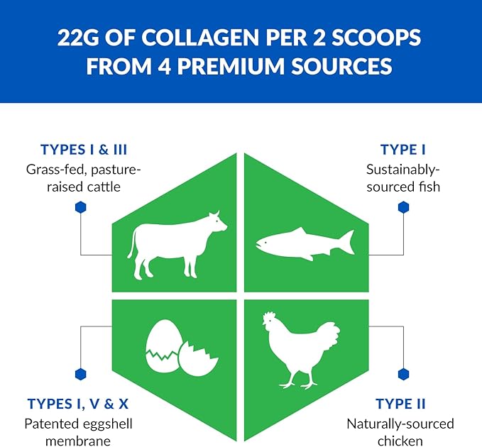 BioTrust Ageless Multi Collagen Peptides Powder – 5 Types (I, II, III, V, X) – Fruit Punch Collagen Powder for Women & Men – Hydrolyzed Protein – Grass Fed Beef, Fish, Chicken, Eggshell Membrane