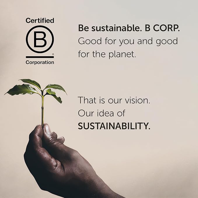 illy Arabica Selections Brasile - Cerrado Mineiro Ground Coffee, Regenerative Agriculture Coffee, 8.8oz (Pack of 1)