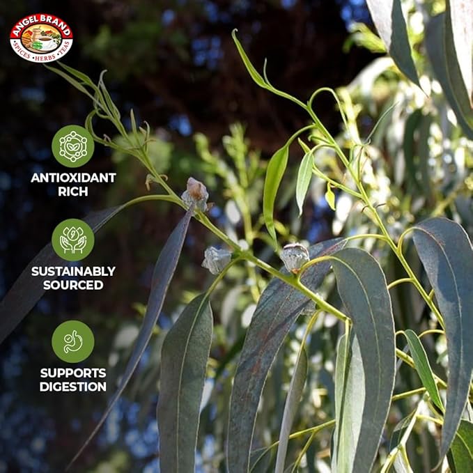 Angel Brand Eucalyptus Leaves 0.25 oz Pouch Pack of 3 - Eucalyptus Has Refreshing Slightly Wood Flavour - Dried Eucalyptus Leaves Commonly Used in Various Dishes, Herbal Tea, Syrups & Savory Dishes