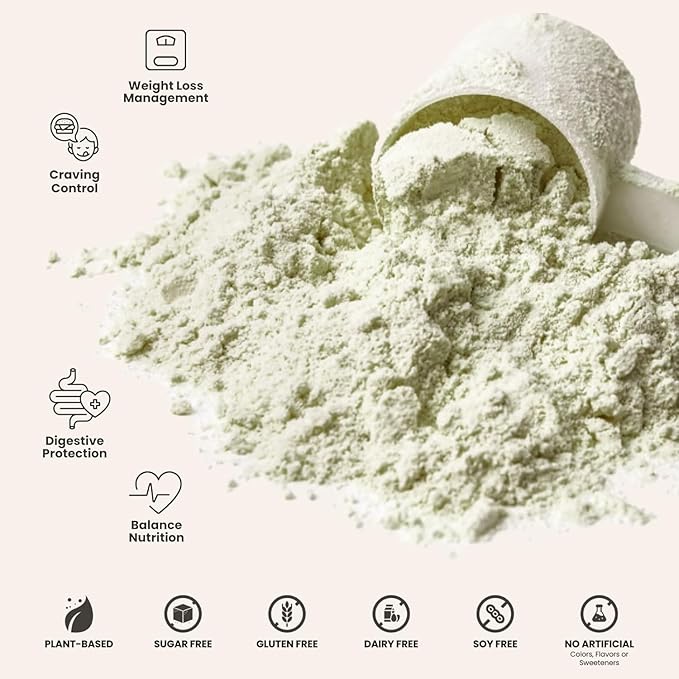 310 Nutrition All-In-One Meal Replacement Shake Powder - Plant-Based Protein Smoothie Blend w/High Fiber, Probiotics & Adaptogens - Low Carb, Vegan, Keto & Paleo Friendly - Chocolate Mint - 28 Srv