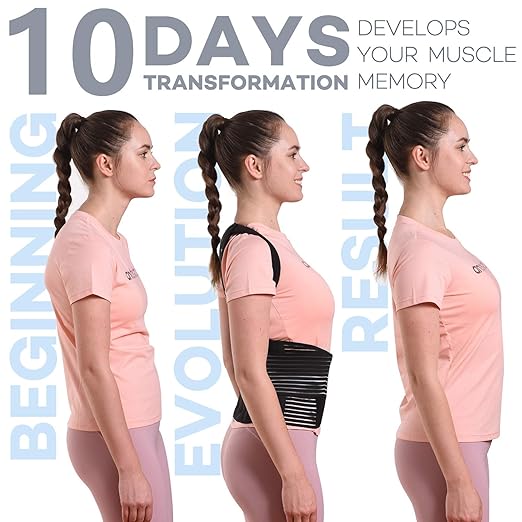 sicheer Posture Corrector for Women and Men Back Brace Straightener Shoulder Upright Support Trainer for Body Correction and Neck Pain Relief, Large(waist 39-41 inch)