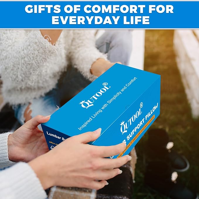 Elegant Lumbar Support Pillow for Office Chair - Fathers Day,Birthdays Gifts for Women Men, Ergonomic Back Support with Breathable 3D Mesh Cover, Suited for Office Chairs, Gaming Chairs (Black)