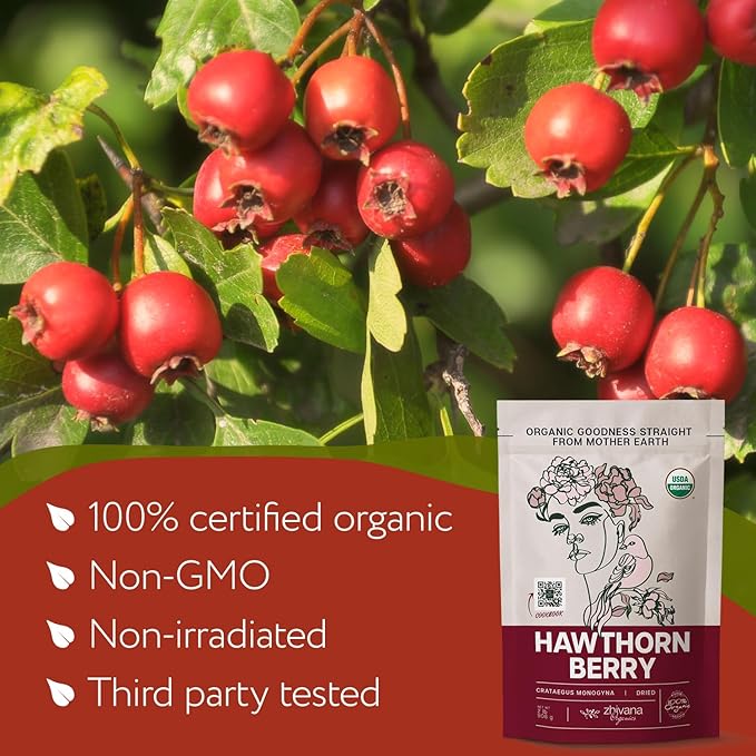 Hawthorn Berry Tea Organic (32oz.) - Hawthorne Berries for Herbal Tea, Tinctures, Recipes - Wild Crop - European Origin