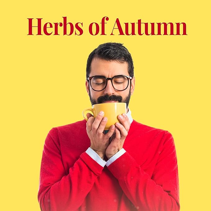 The Republic of Tea - Hot Apple Cider Tea, 36 Tea Bags, Tin | Harvest Herbal Blend | Caffeine-free