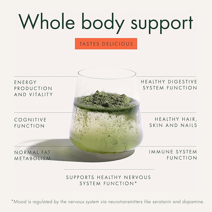 WelleCo The Super Elixir Daily Greens Powder, Probiotic Drink Mix with Whole Foods, Gluten Free, Vegan Gut Health Powder, Energy, Immunity, Healthy Skin, Hair & Nails (Jar, Blood Orange)