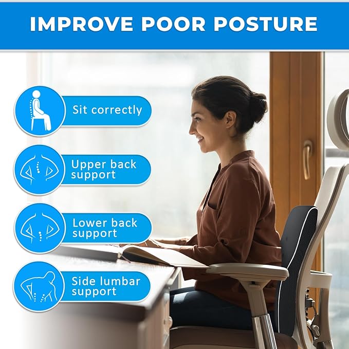 Elegant Lumbar Support Pillow for Office Chair - Fathers Day,Birthdays Gifts for Women Men, Ergonomic Back Support with Breathable 3D Mesh Cover, Suited for Office Chairs, Gaming Chairs (Black)