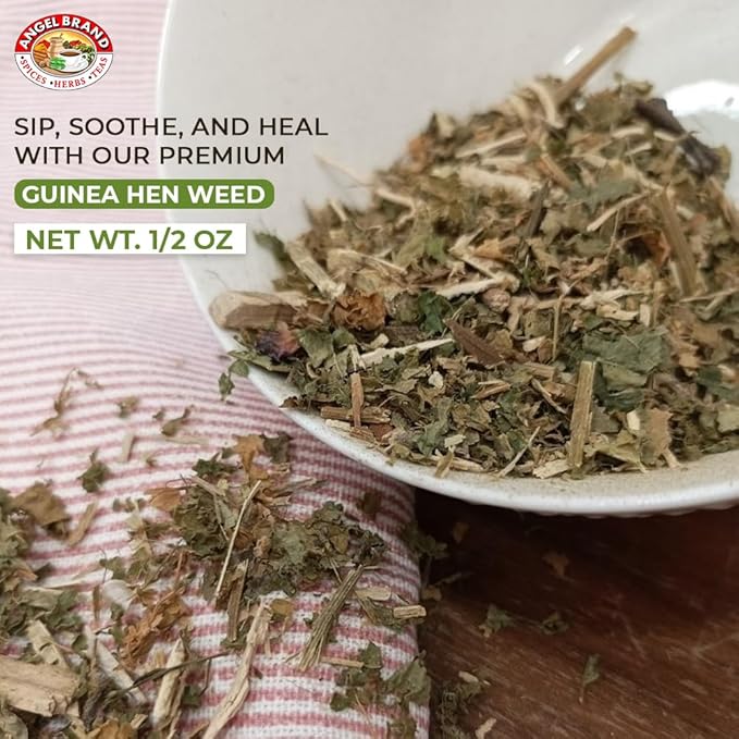 Angel Brand Guinea Hen leaves Tea – 0.5 oz Pouch Pack of 3 Sourced From Lush Tropics, Discover Potent & Versatile Qualities of Our Premium Anamu Plant - Famous for Its Health Benefits