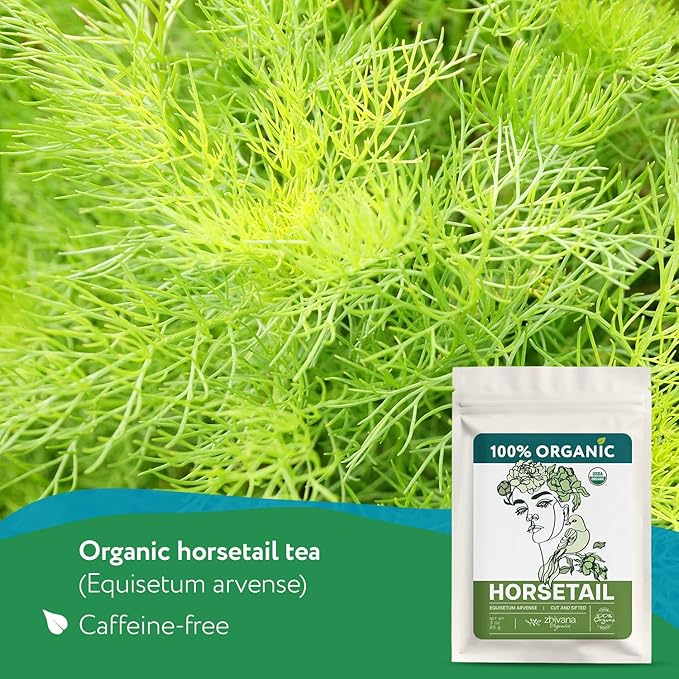Organic Horsetail (4 oz.) (Equisetum arvense) β Loose Dried Herb β Edible Grade for Tea, Infusions & Herbal Blends