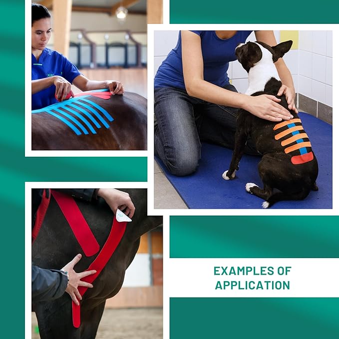 VETKIN VetkinTape Canine & Equine Kinesiology Tape | Veterinary Medical Tape | Vet Wrap for Joint Support & Pet Care | Self Adhesive Bandage Wrap | Orange | 2.4in | (Pack of 1)