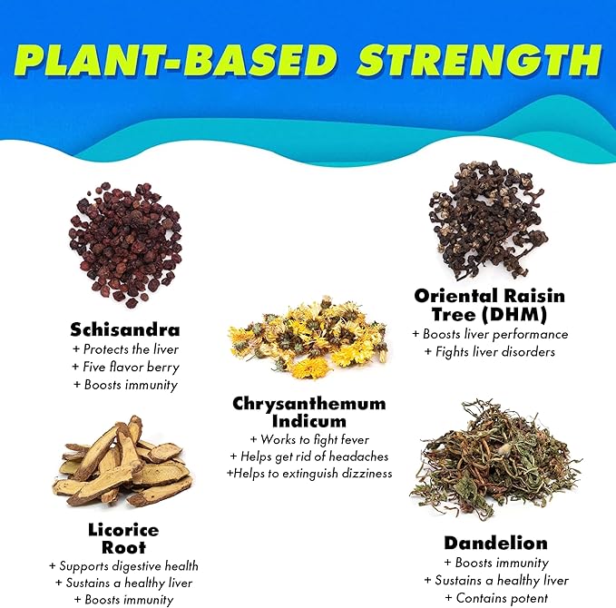 The Plug Liver Cleanse Detox & Repair Drink - Plant Based Herbal Electrolyte Drink for Liver Support & Health, Bloating Relief, Restore Antioxidants & Minerals | Liver Complex Energy Drink (24-Pack)