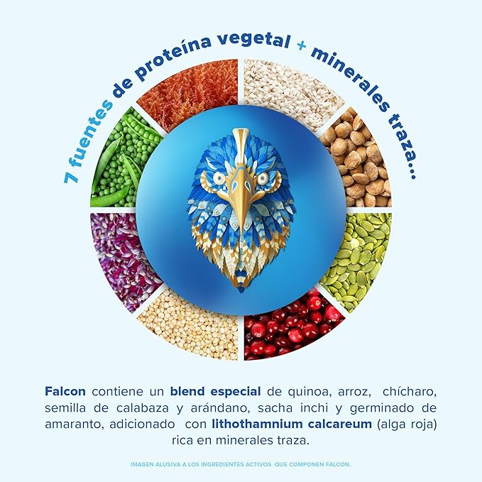 Falcon Vegan Protein Powder Organic, Stevia & Sugar Free, Plant Based Protein, Low Carb, Dairy Free, Keto, Non Whey Protein, Probiotic | Vanilla Flavor - 60 Servings - 3.9 lb