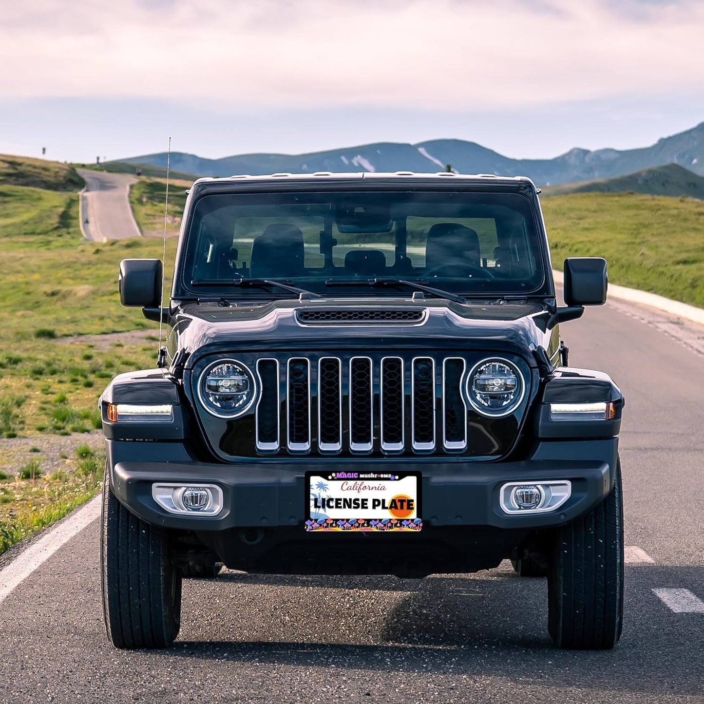 Magic Mushrooms License Plate Frame Colorful Dream Stainless Steel License Plate Holder for Front or Rear Car Tags Funny for Car Decoration Accessories with Screws 6.3 X 12.2 in for Women Men