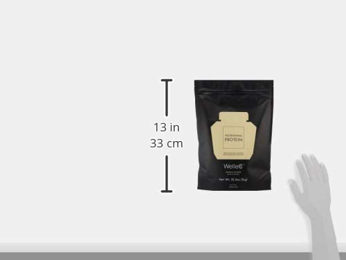 WelleCo Vegan Protein Powder, Gluten Free Premium Organic Sprouted Brown Rice & Pea Protein Blend, Low Carb & Dairy Free, for Energy, Muscle Recovery, 16g Protein Per Serving, Vanilla, 35.2oz Pouch