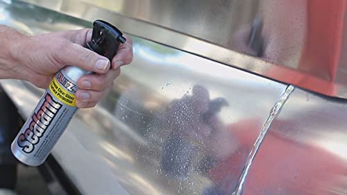 Flitz Car Buffing and Care Kit (Medium) - USA-Made Polishers and Buffers Set – Includes 2lbs Paste, 16oz Sealant, 5" BuffBall, 4 Microfiber Cloths, Removes Rust & Restores Shine