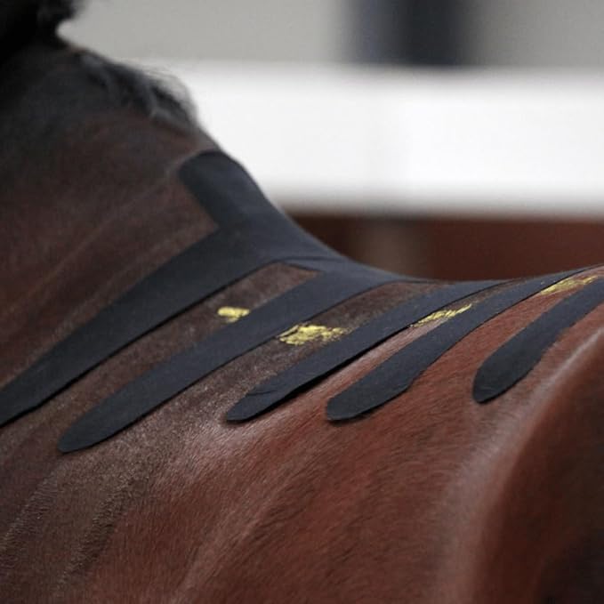 VetkinTape Canine & Equine Kinesiology Tape | Veterinary Medical Tape | Vet Wrap for Joint Support & Pet Care | Self Adhesive Bandage Wrap | Black Tape | 2.4in | (Pack of 1)