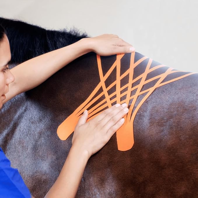 VETKIN VetkinTape Canine & Equine Kinesiology Tape | Veterinary Medical Tape | Vet Wrap for Joint Support & Pet Care | Self Adhesive Bandage Wrap | Orange | 2.4in | (Pack of 1)