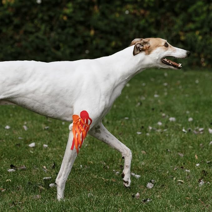 VETKIN VetkinTape Canine & Equine Kinesiology Tape | Veterinary Medical Tape | Vet Wrap for Joint Support & Pet Care | Self Adhesive Bandage Wrap | Orange | 2.4in | (Pack of 1)