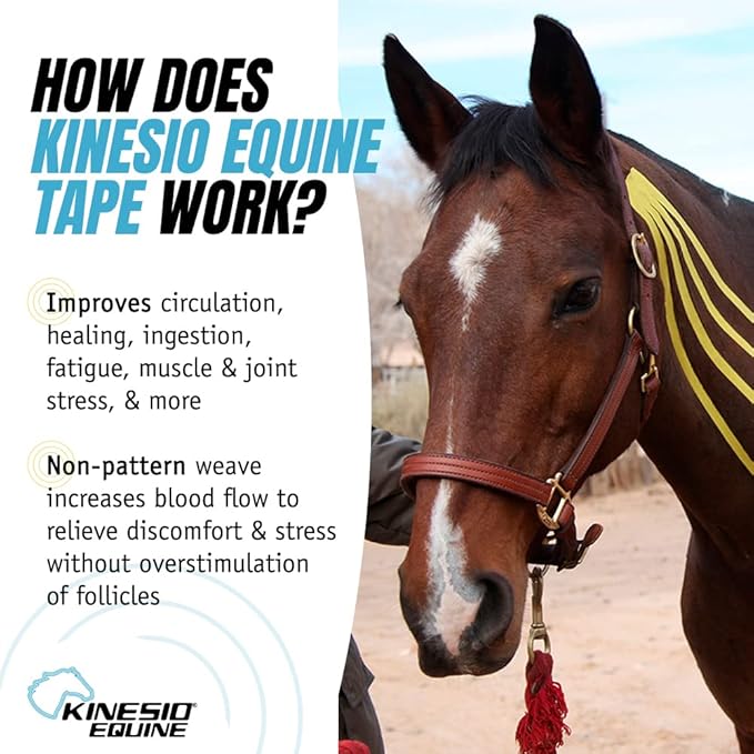 Kinesio Equine Tape - Tex Gold FP Horse Tape -Tape Made Specifically for Horses - 2”x 16’ Roll