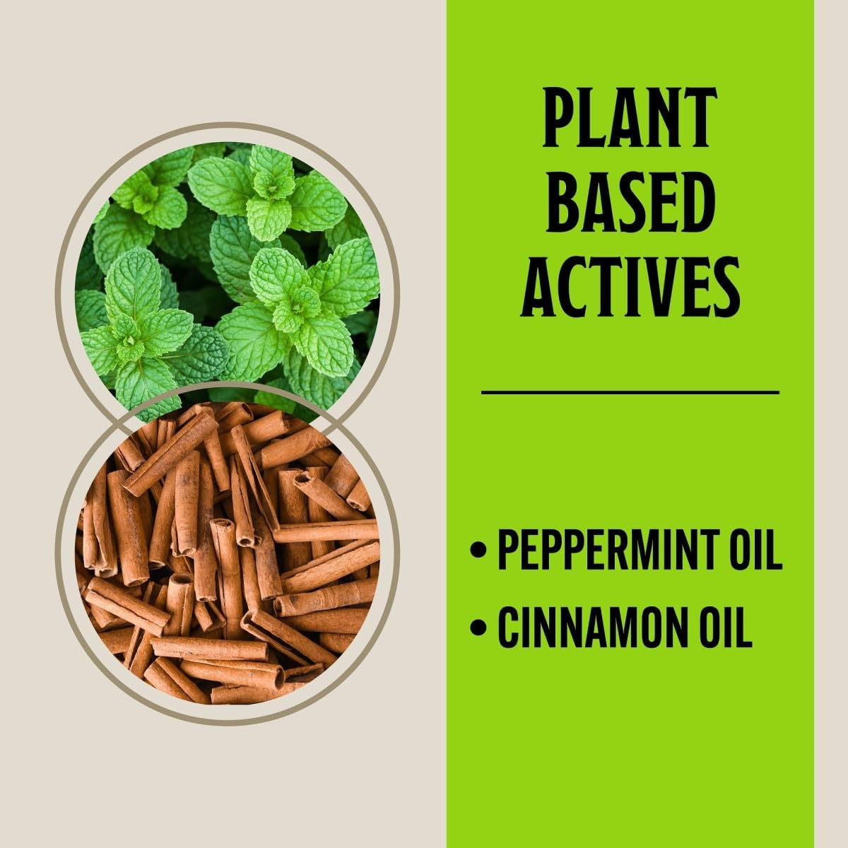 Grandpa Gus's Natural Mouse Repellent Pouches, Cinnamon/Peppermint Oils Repel Mice from Nesting in Home/Cabin/Boat/Car Storage/RV/Machinery/Shed (16 Pouches)