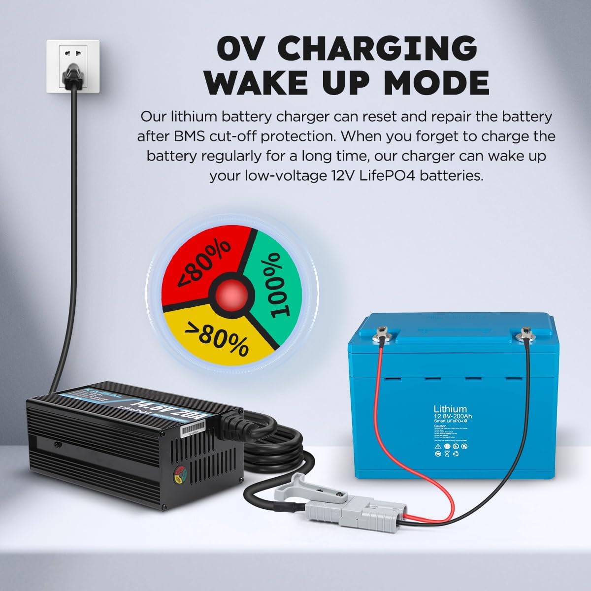 12V 20A Lithium Battery Charger 14.6V LiFePO4 Battery Charger for 12.8V LiFePO4 Lithium Deep Cycle Rechargeable Battery 0V Wake Up 12 Volt Charger with 2 Connectors for RV, Boat, Car, Marine, Solar