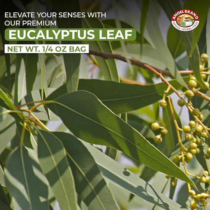 Angel Brand Eucalyptus Leaves 0.25 oz Pouch Pack of 3 - Eucalyptus Has Refreshing Slightly Wood Flavour - Dried Eucalyptus Leaves Commonly Used in Various Dishes, Herbal Tea, Syrups & Savory Dishes