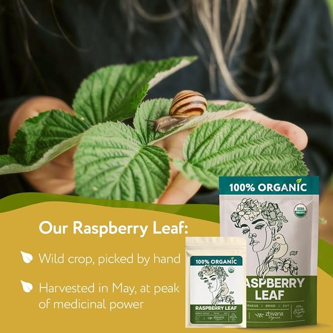 Organic Red Raspberry Leaf Tea – Loose Leaf Herbal Tea – 2 oz (Rubus idaeus)