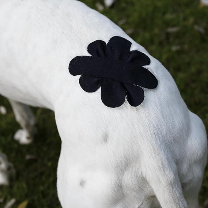 VetkinTape Canine & Equine Kinesiology Tape | Veterinary Medical Tape | Vet Wrap for Joint Support & Pet Care | Self Adhesive Bandage Wrap | Black Tape | 2.4in | (Pack of 1)