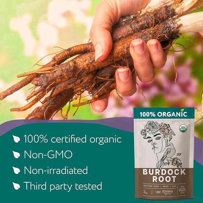 Super Value Pack 10 LB - Organic Burdock Root Tea - Greater Burdock Root Herb - Digestion, Liver Support, Fluid Balance, Healthy Skin