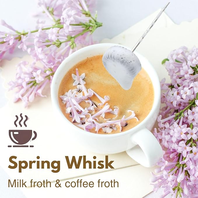 Milk Frother Handheld with 3 Stainless Steel Whisks, Rechargeable Electric Drink Mixer with Stand & Travel Case, Milk Foamer for Coffee, Latte, Cappuccino, Hot Chocolate, Egg,Jam Supplement-Mint