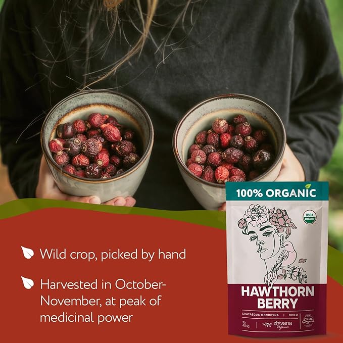 Super Large Value Pack 10 LB - Organic Hawthorn Berry Tea - Hawthorne Berries Organic - Healthy Circulation, Heart, Pressure Balance