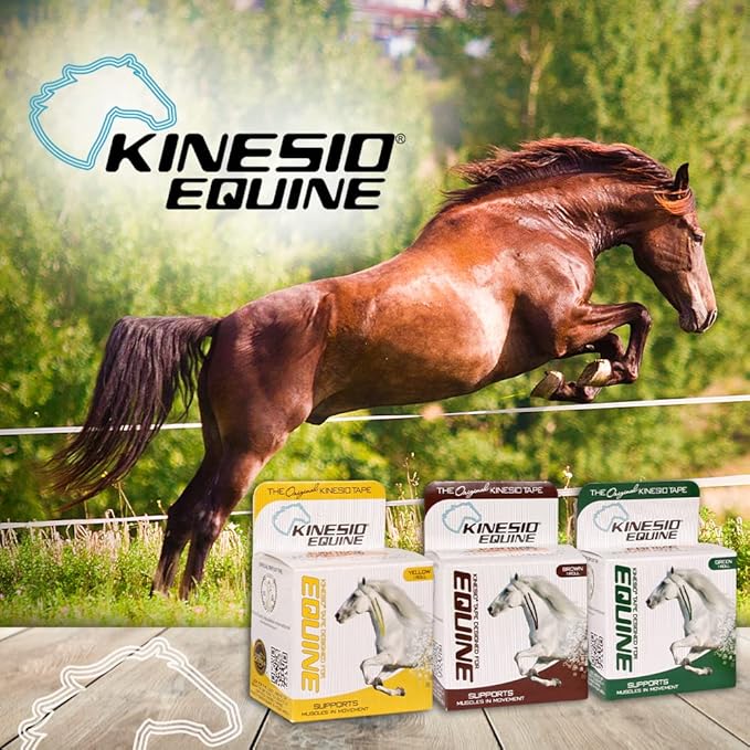 Kinesio Equine Tape - Tex Gold FP Horse Tape -Tape Made Specifically for Horses - 2”x 16’ Roll