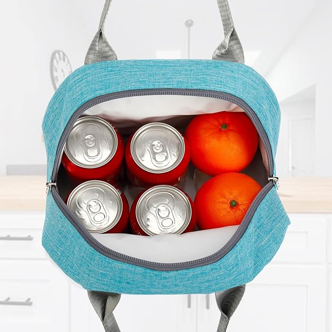 FlowFly Insulated Lunch Cooler Bag - Tote Bag Organizer for Women/Men, Sea Blue