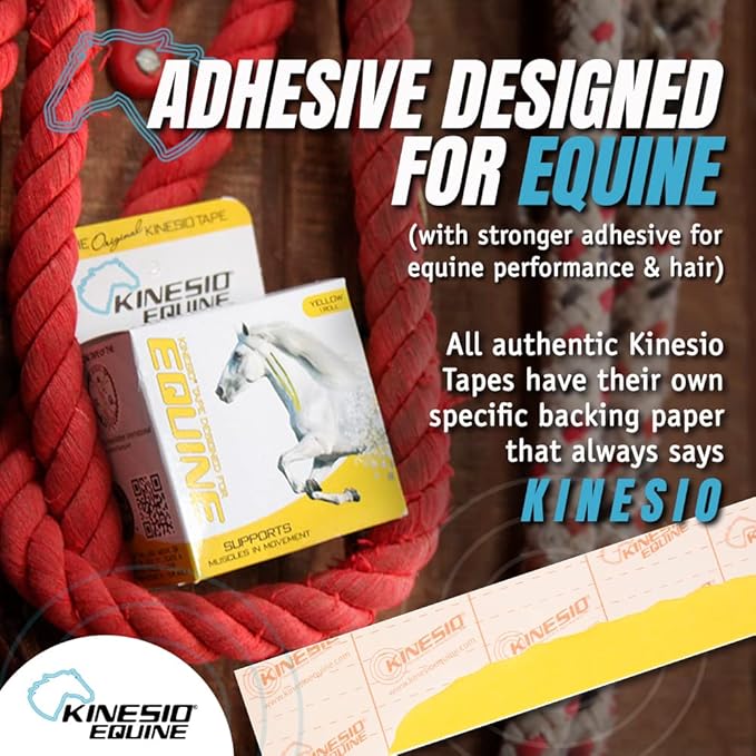 Kinesio Equine Tape - Tex Gold FP Horse Tape -Tape Made Specifically for Horses - 2”x 16’ Roll