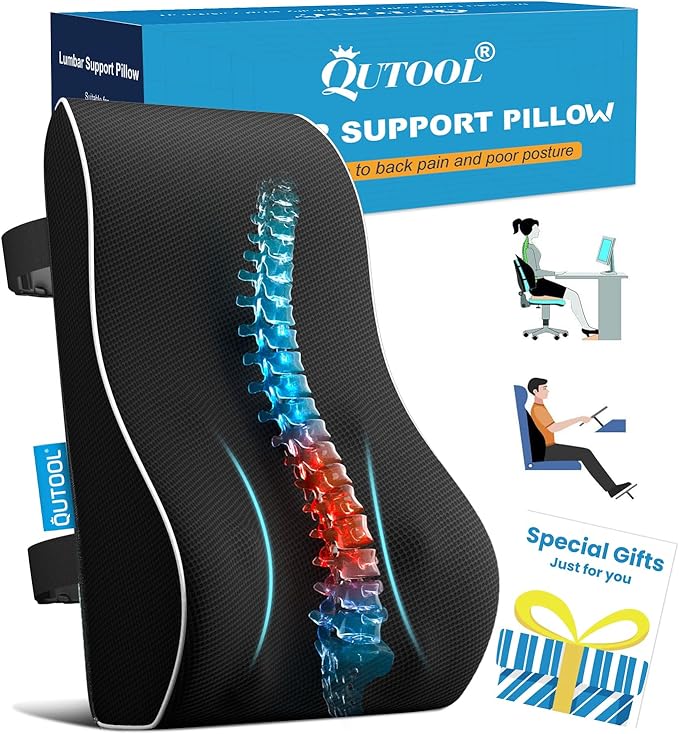 Elegant Lumbar Support Pillow for Office Chair - Fathers Day,Birthdays Gifts for Women Men, Ergonomic Back Support with Breathable 3D Mesh Cover, Suited for Office Chairs, Gaming Chairs (Black)