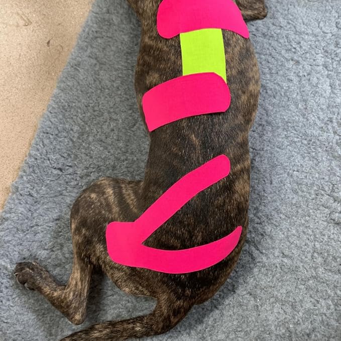 VETKIN VetkinTape Canine & Equine Kinesiology Tape | Veterinary Medical Tape | Vet Wrap for Joint Support & Pet Care | Self Adhesive Bandage Wrap | Pink | 2.4in | (Pack of 1)