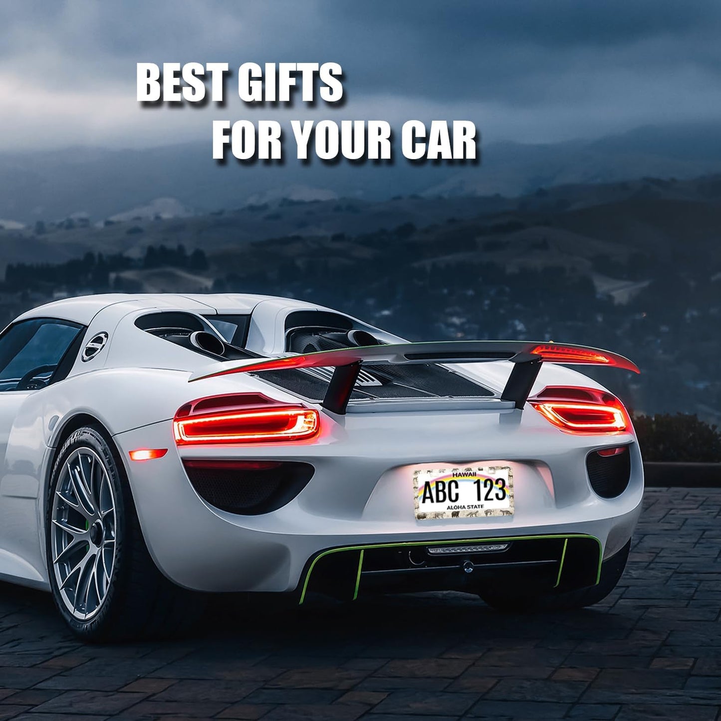 Animals License Plate Frame Bear Deer Horse Tiger License Plate Holder Stainless Steel Funny Design with 2 Holes and Screws 12.3" x 6.3"