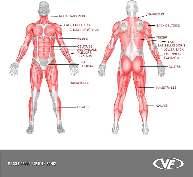 Valor Fitness BD-62 Wall Mounted Cable Machine with Adjustable Dual Pulley System Functional Home Gym Workout Equipment