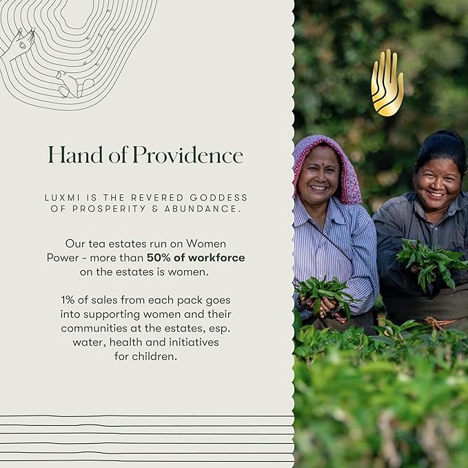 Luxmi Estates Citrus Sky Green Tea 100gm Tin | Certified Organic Darjeeling Green Tea