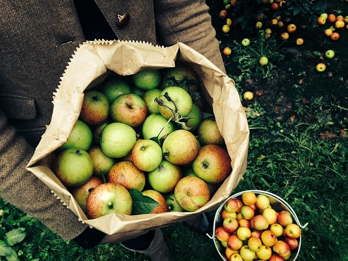 Willy's ACV Organic Probiotic Apple Cider Vinegar with Mother for Gut Health - with Turmeric & Eureka Lemon 16.9 fl oz