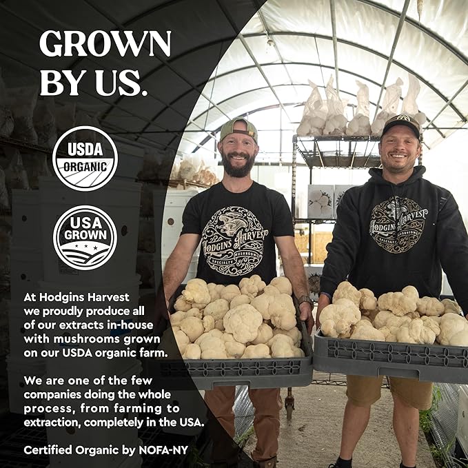 Hodgins Harvest Organic Lion's Mane Tincture | Made with Mushrooms Grown On Our Farm in The USA | Dual Extract | Extra-Concentrated (4 fl oz)