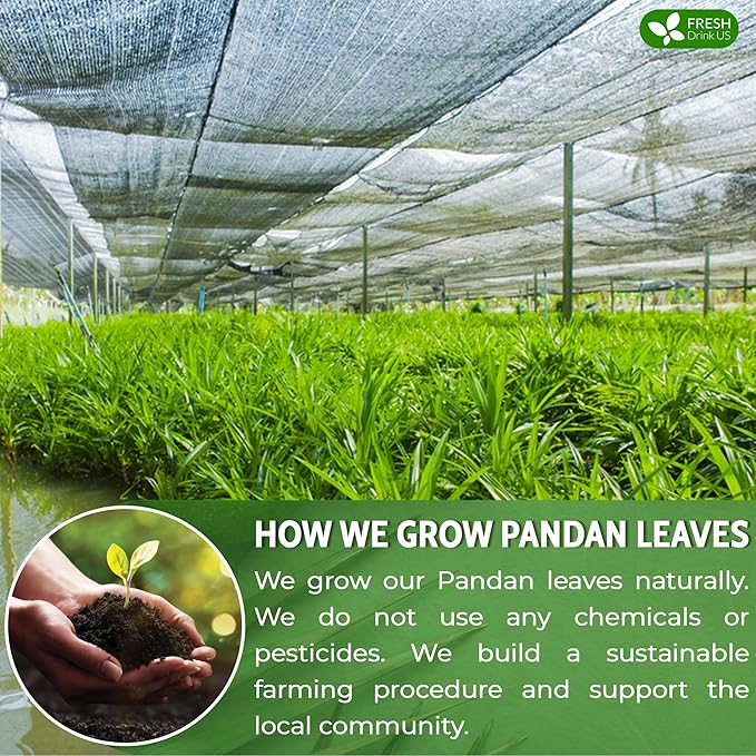 FreshDrinkUS, Premium 8oz Natural Pandan Leaves Dried, 100% Pure Dried Pandan Leaves, Pandan Leaf Tea, No Additives, No Caffeine, Vegan (8 oz Dried Leaves)