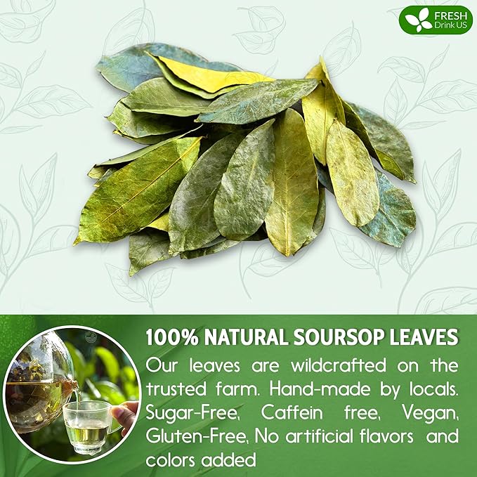 FreshDrinkUS, 75+ Premium Soursop Graviola Dried Leaves Tea, Natural Whole Leaves, Wildcrafted, Hoja De Guanabana, Soursop/Guanabana/Graviola Tea, No Sugar/Gluten/Caffeine/Non GMO, Vegan