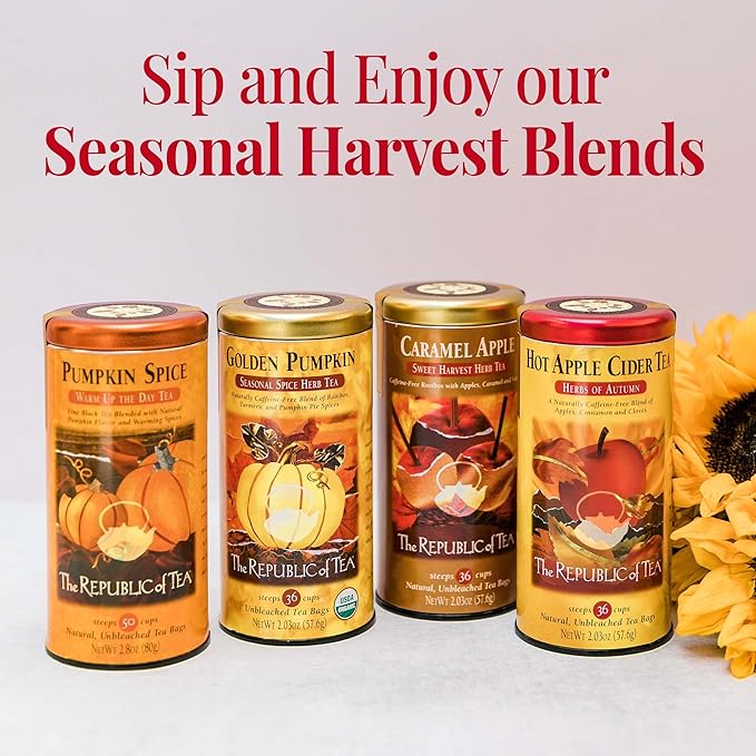 The Republic of Tea Hot Apple Cider Seasonal Herbal Tea, 250 Tea Bag Bulk
