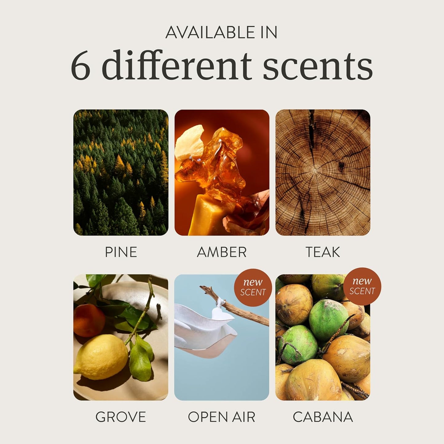 Drift Car Air Freshener - Wooden Deodorizer - Vehicle Odor Remover - Auto Scent Diffuser - Long-Lasting Car Freshening - Grove Scent Refill - Pack of 3 - NO CLIP INCLUDED