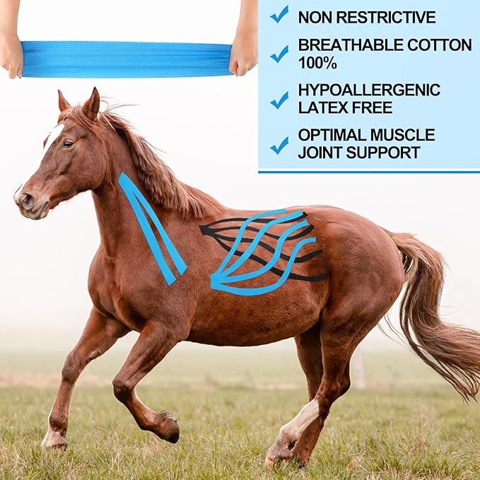 2 Pcs Veterinary Kinesiology Tape for Horses or Dogs Veterinary Horse Tape 4 Inch Equine and Canine Adhesive Uncut Roll for Vet Adhesive Animal Pets Wrap Bandages
