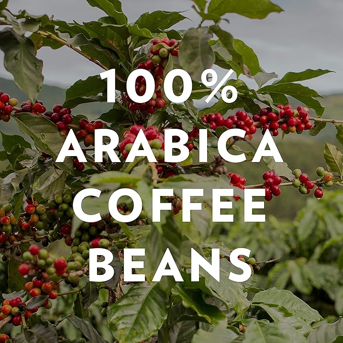 Community Coffee French Roast 12 Ounces, Extra Dark Roast Ground Coffee, 12 Ounce Bag (Pack of 2)