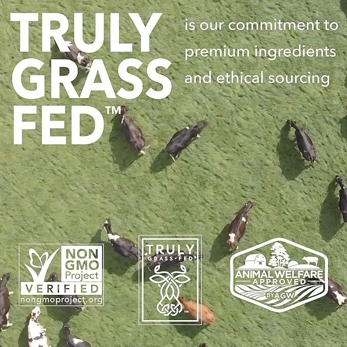 ICONIC Protein Shake, Cacao + Greens (12 Pack) – 20g Grass-Fed Protein Drink – Low Carb, Sugar Free, Keto Friendly – Lactose Free, High Protein Snack or Meal Replacement Shake