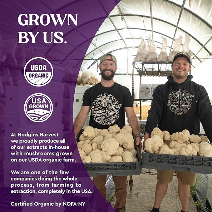 Hodgins Harvest Organic Turkey Tail Tincture | Made with Mushrooms Grown On Our Farm in The USA | Dual Extract | Extra-Concentrated (4 fl oz)