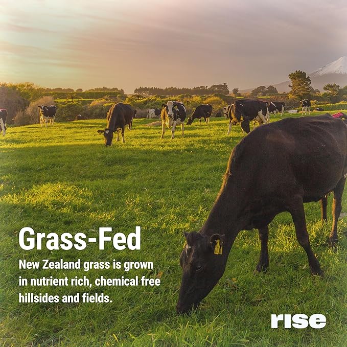 Rise Grass-Fed Whey Protein Powder - Vanilla | 25g Protein No Artificial Flavors, Colors, or Preservatives - Sugar Free, Gluten-Free, Soy Free (2.3 lbs)